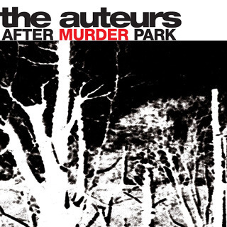 11 The auteurs - After murder park.jpg