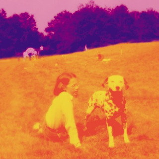 19. Eels – Blinking Lights And Other Revelations.jpg