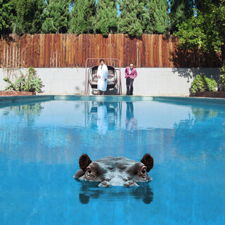 26 Sparks - Hippopotamus.jpg