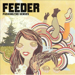 39. Feeder – Pushing The Senses.jpg