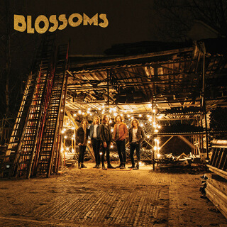 47 Blossoms - Blossoms.jpg