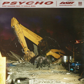 No.4 PSYCHO - POST MALONE FT TY DOLLA SIGN_w320.jpg